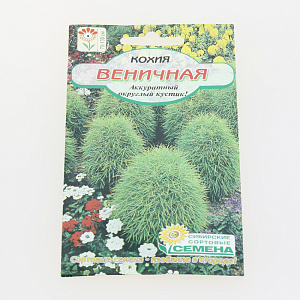 Семена Кохия веничная 0,2гр (ссс) ЛИДЕР ПРОДАЖ ! СС011707 пакет 000000000001194813