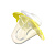 Соска-Пустышка Бабочка Lubby, от 0 месяцев, силикон 000000000001135428
