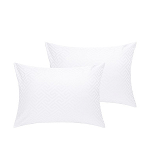 Наволочки 50х70см-2шт DE'NASTIA JQ меандр белый сатин хлопок-100% 000000000001215608