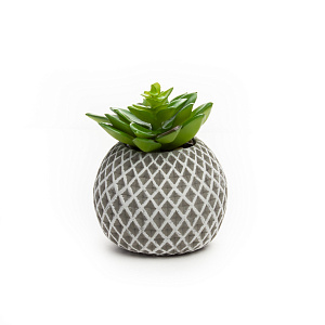 Цветок искусственный "Агава"  13 смR010466 000000000001189330