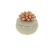 Декоративная шкатулка белая с персиковым цветком из фарфора / 7x7x5,6см арт.76814 000000000001195738