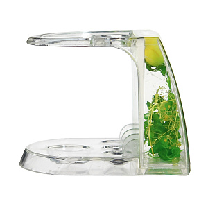 Малая подставка для зубных щеток Зеленая Аквалиния 000000000001126211