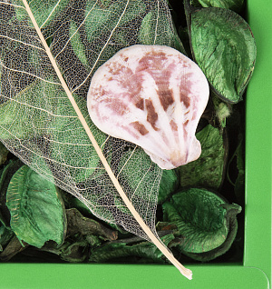 Отдушка цветочная 23см 000000000001216405