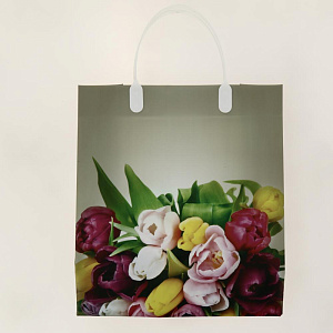 Подарочный пластиковый пакет Премиум+, 26x23 см 000000000001036482