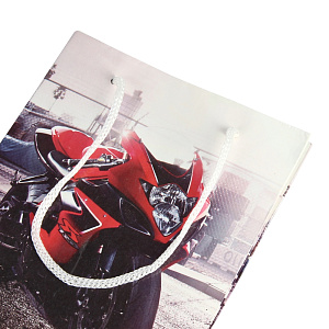 Подарочный пакет Премиум +, 11х14х6 см, бумага, текстиль 000000000001036472