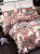 Комплект постельного белья 1,5-спальный BUENAS NOCHES Vegas Пододеяльник на молнии 145х215см простыня 150х215см наволочка 70х70см-2шт сатин хлопок 000000000001215547