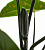 Цветок декоративный искусственный 50см Зелень Алаказия 000000000001210790