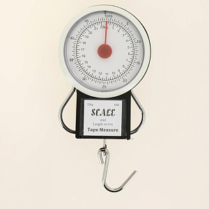 Безмен LUAZON HOME до22кг цена деления 250г механический черный металл 000000000001186371