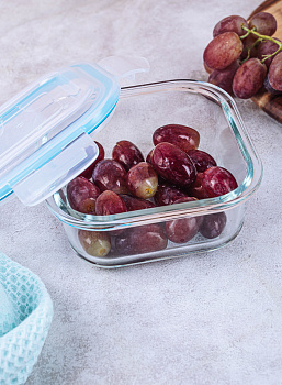 Контейнер 520мл ELEY квадратный стекло 000000000001186805