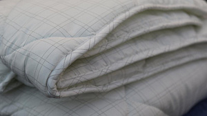 Одеяло евро Оригинал Лебяжий пух 300г/м2 микрофибра ООЛЧ-220-300 000000000001203317