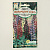 Семена Люпин Фейерверк, смесь окрасок мн. 50см 0,30г (ссс) ЛИДЕР ПРОДАЖ! СС010083 пакет 000000000001183928