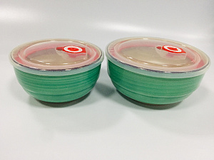 Набор салатников 2шт ELRINGTON АЭРОГРАФ Изумруд с крышками керамика 000000000001211165