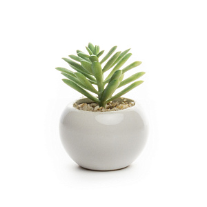 Цветок искусственный "Суккулент"  7смR010455 000000000001189319