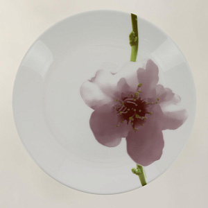 ВОТЕР КОЛОР Набор столовой посуды 19 предметов E4905 000000000001120074