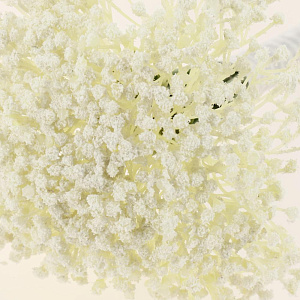 Цветок искусственный "Хризантемы" 20 веток 25см R010770 000000000001199222