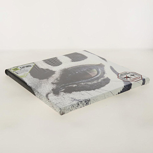 Картина "Глаз зебры" 350*350КК35/35-5/5.1 000000000001166223