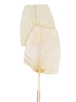 Сухоцветы 15x3x100см DE'NASTIA палочка пальмовая микс цветов 000000000001228213