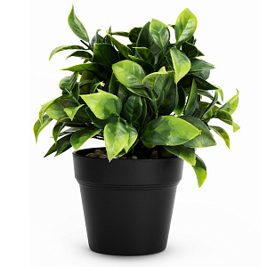 Цветок искусственный растение Зелень 14см в горшке 000000000001218504