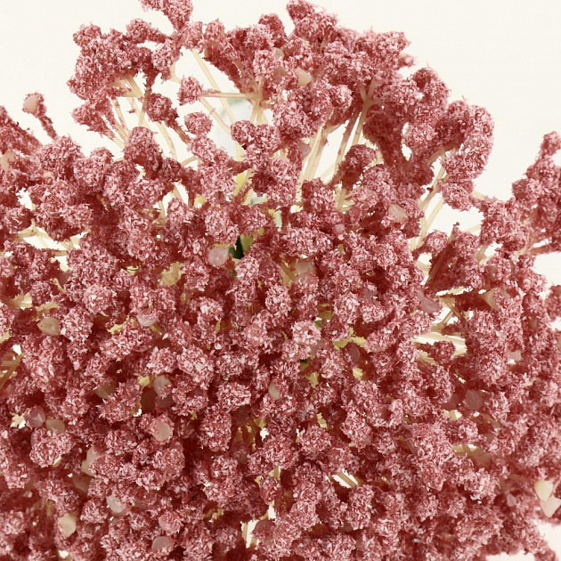 Цветок искусственный "Хризантемы" 20 веток 25см R010770 000000000001199222