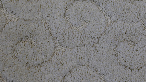 Коврик для ванной Hermitage, 50х80 см 000000000001161396