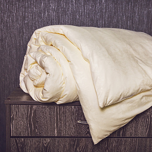 Пододеяльник DE'NASTIA 145х210см ваниль 100%Микрофибра C010314 000000000001109600