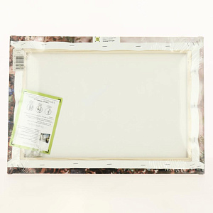 Картина "Павлин" 350*500КК35/50-5/5.10 000000000001166232