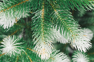 Ель искусственная 195см БИФОРЕС Полярная Микс темно-зеленый ПВХ 000000000001214443