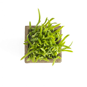 Растение искусственное Травка 19см R010636 000000000001192377