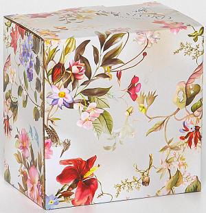 Набор салатников 2шт 280мл/540мл BALSFORD Весна пластиковая крышка подарочная упаковка фарфор 000000000001205659