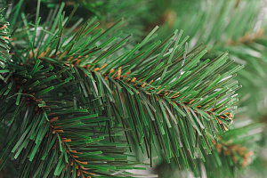 Ель искусственная 180см БИФОРЕС Арктика ПВХ - насыщенного зеленого цвета, густая, пушистая. Производится из плёнки PVC. Не горит и не осыпается 000000000001208779