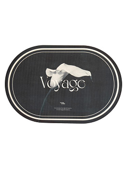 Коврик для ванной 60х40см овальный с принтом в ассортименте силикон 000000000001229197