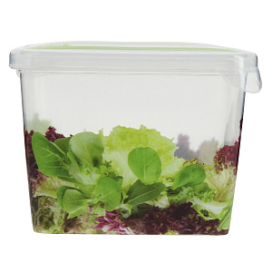 Емкость для хранения продуктов Браво Giaretti, 750мл 000000000001154003