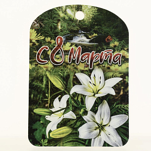 Доска 8 марта 275*193мм в ассортименте дерево Повод ФРГ-25396 000000000001197089