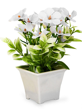 Цветок искусственный в кашпо Незабудка 16см белый пластик 000000000001225658