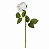 Цветок искусственный Пионовидная роза Real Touch 62см белая 000000000001218313