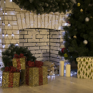 Гирлянда-Сеть 2х2м 224LED LUAZON LIGHTING IP20 8 режимов 220В тёмная нить свечение белое 000000000001208004