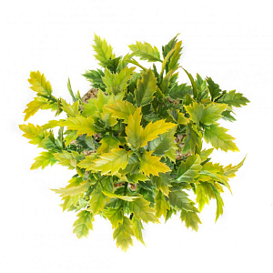 Цветок искусственный "Зелень" 23см R010811 000000000001196632