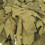 Дубовый веник с лавровым листом Банные штучки 000000000001131713