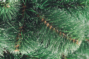 Ель искусственная 190см БИФОРЕС Пихта Алтай ПВХ 000000000001214435