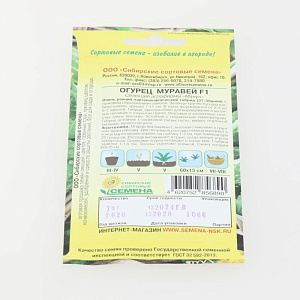 Огурец Муравей F1 7шт Реестр Селекция "Манул" (ССС)  УТ000000322 000000000001183744