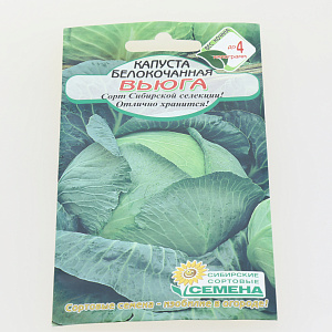 Семена Капуста Вьюга белокачанная 0,5г Р (ссс) ЛИДЕР ПРОДАЖ! СС003163 пакет 000000000001195313