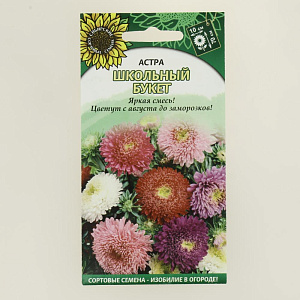 Семена Астра Школьный букет 0,3гр (ссс) ЛИДЕР ПРОДАЖ! УТ000005371 пакет 000000000001194699