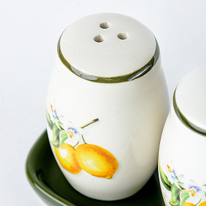 Набор для специй 11,3x6,9x7,8см Лимоны Доломит M56036 000000000001193766