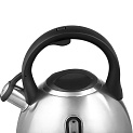 Чайник со свистком 3л Polaris Alicante-3L нержавеющая сталь 014798 000000000001203337