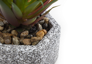 Цветок искусственный "Суккулент"  15 смR010467 000000000001189331