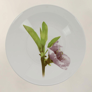 ВОТЕР КОЛОР Набор столовой посуды 19 предметов E4905 000000000001120074