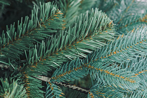 Ель искусственная 220см БИФОРЕС Дриада Микс голубой ПВХ 000000000001214442