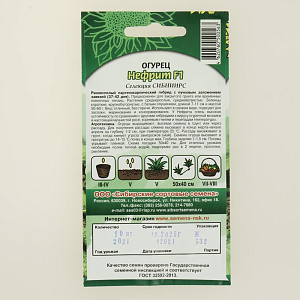 Семена Огурец Нефрит F1 корнишон Р СССЕМЕНА 000000000001208820