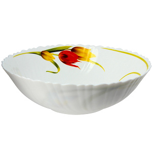 ВЕС ТЮЛЬПАНЫ Салатник 23см FARFORELLE M22057 000000000001080165