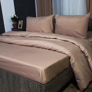 Простынь DE'NASTIA 180х215см коричневый 100%Микрофибра C010309 000000000001109595